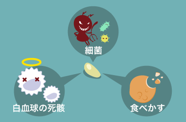 臭い玉の正体