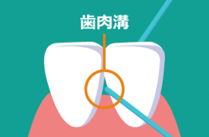 デンタルフロス糸巻き使い方